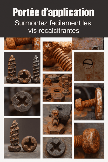 tournevis  a frapper / robuste